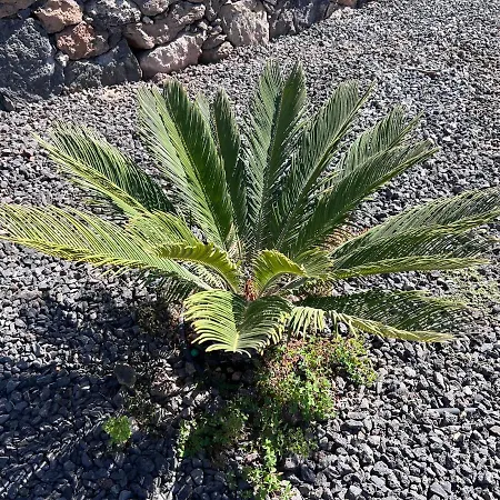 Valentina, Piscine Chauffee Et Serenite 别墅 *